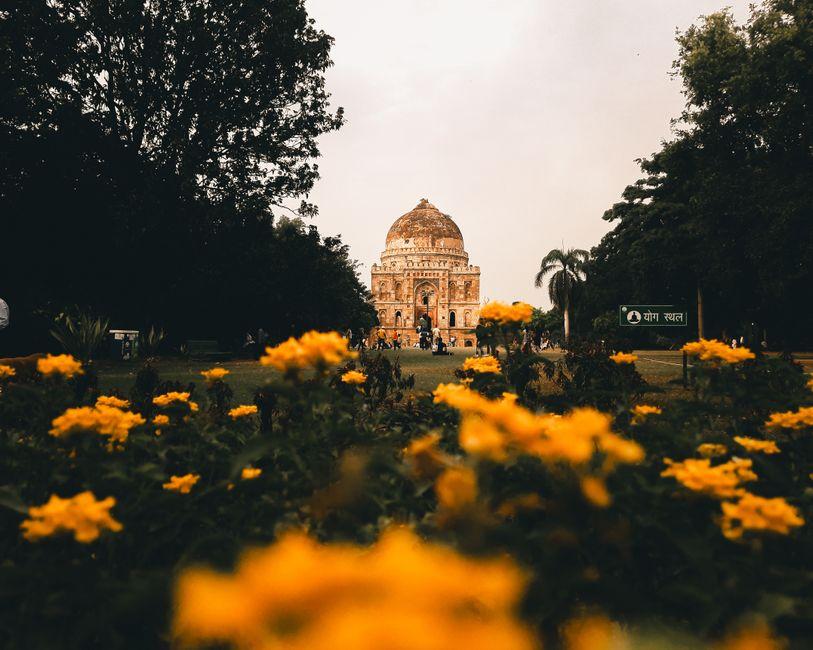 View of Flowers in a Park and the Bara Gumbad in New Delhi India